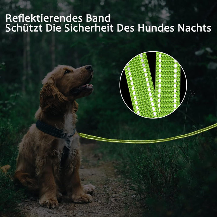 Demigreat Schleppleine für Hunde, 3m / 5m / 10m / 15m / 20m Robuste Lange Hundeleine Reflektierend T