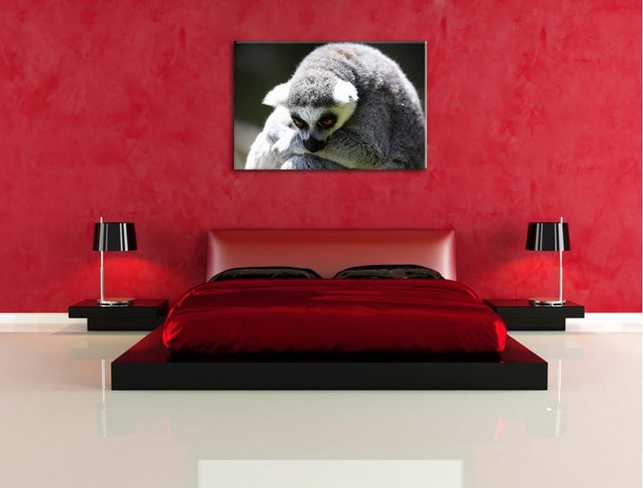 Pixxprint sitzender Katta auf Leinwand, XXL riesige Bilder fertig gerahmt mit Keilrahmen, Kunstdruck