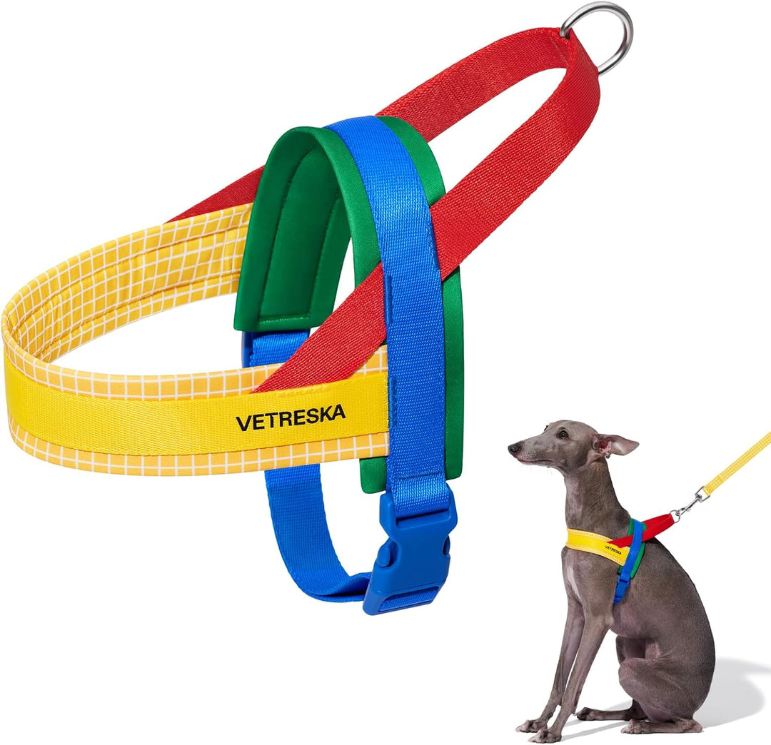 VETRESKA No Pull Hundegeschirr für kleine Hunde, Easy Walk Hundegeschirr und Leine Set, Welpengeschi