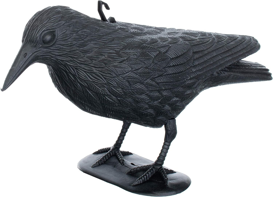 Brandsseller Schwarzer Rabe aus Kunststoff 36 x 20 cm Taubenabwehr Vogelschreck gegen kleine Vögel u