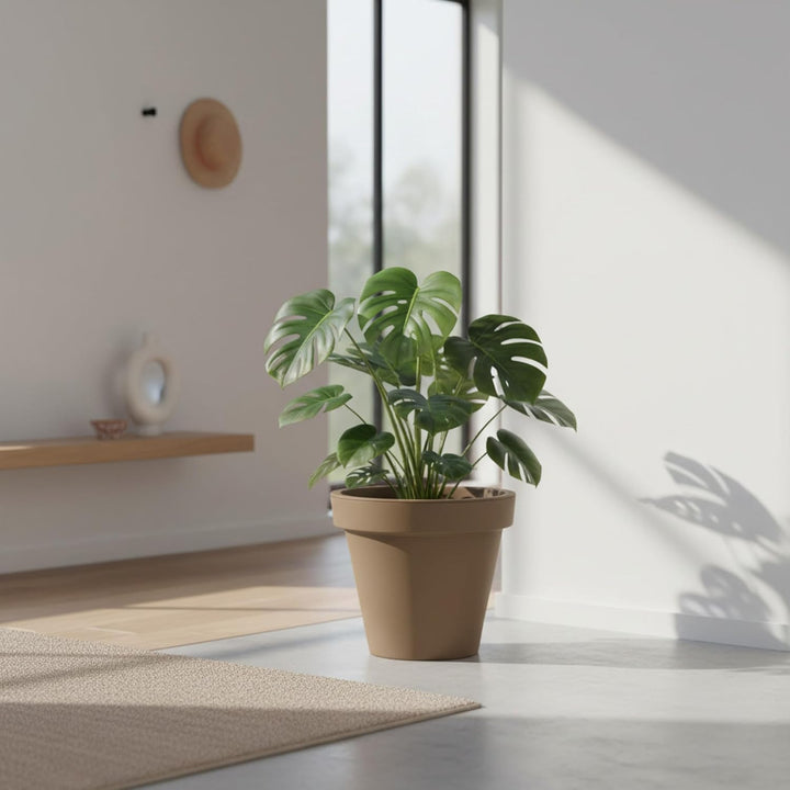 Spetebo Kunststoff Pflanzkübel L rund Ø 48 cm - Mokka - Blumenkübel gross für Aussen und Innen - Gar