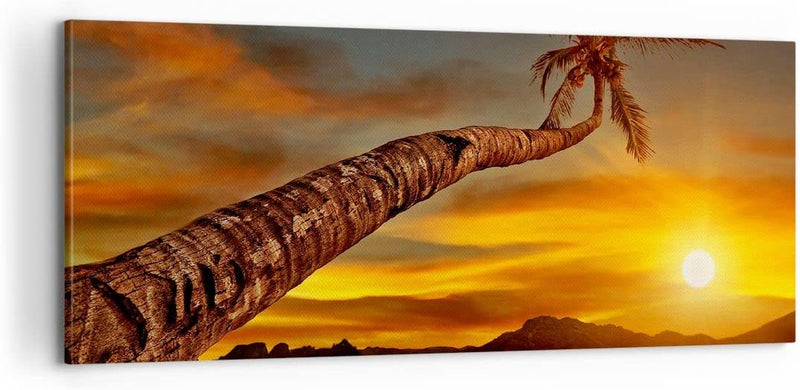 Panorama Bilder auf Leinwand 100x40cm Leinwandbild Palme Landschaft Sonne Gross Wanddeko Bild Schlaf