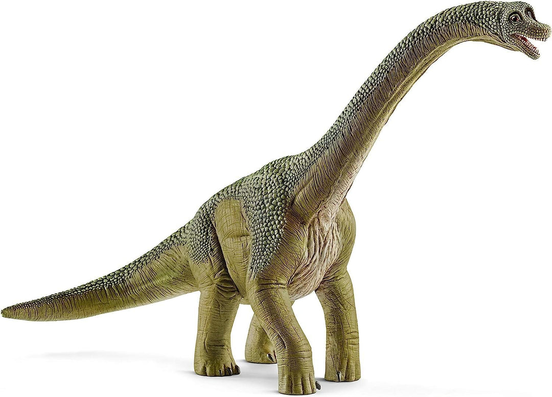 schleich 14581 Brachiosaurus, ab 5 Jahren, DINOSAURS - Spielfigur, 12 x 30 x 19 cm, grün Single, Sin