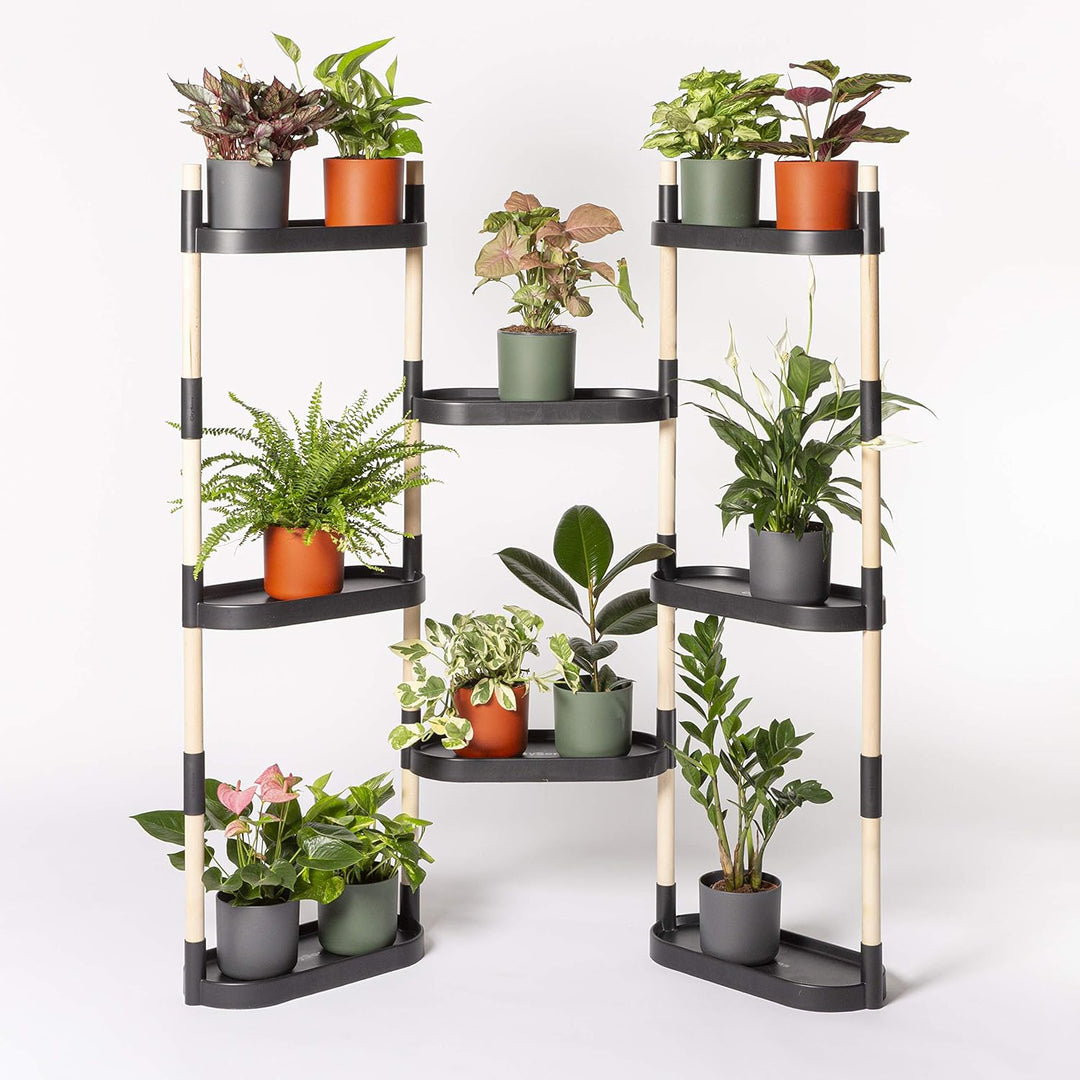 Citysens – Blumenregal mit 8 Regalböden, Schwarz Schwarz 8, Schwarz 8