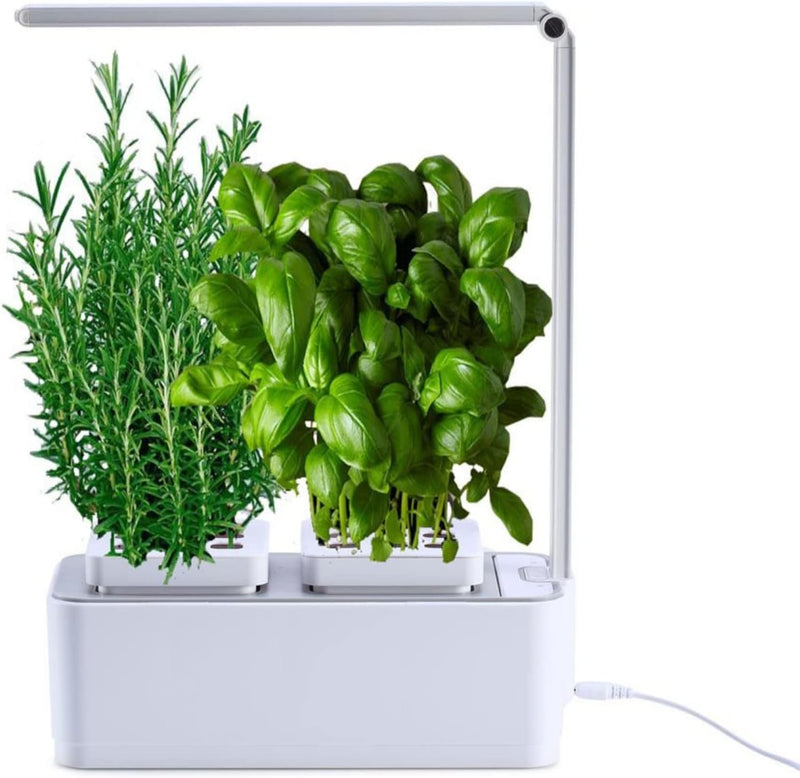 amzWOW Clizia Smart Garden - hydroponische anzuchtsysteme mit led pflanzenlampe - Automatisches Time