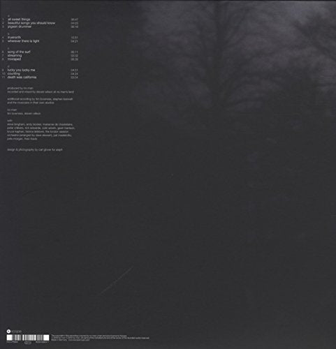 Schoolyard Ghosts, Vinyl