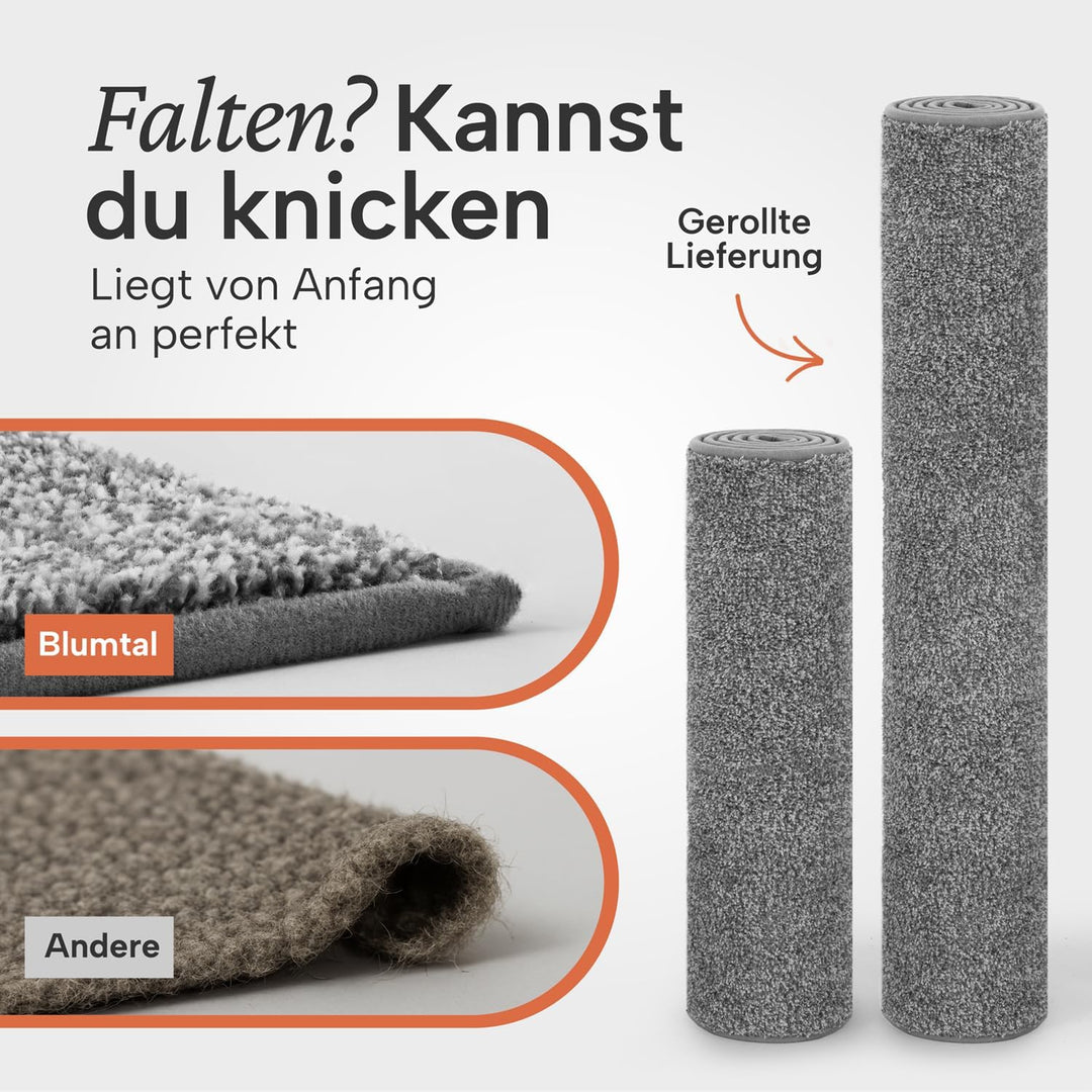 Blumtal Fussmatte 86x150 cm - Mikrofaser Schmutzfangmatte mit wasserdichter TPR-Rückseite - rutschfe