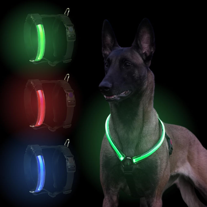 Petty Store -Leuchtharnisch für Hunde, wasserdicht, 3 Farben – Geschirr mit LED, USB-Aufladung bis z