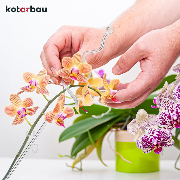 KOTARBAU® 6er Set Pflanzenstütze Transparent PVC 58 cm Spirale Blumenstütze Rankhilfe Zimmerpflanzen