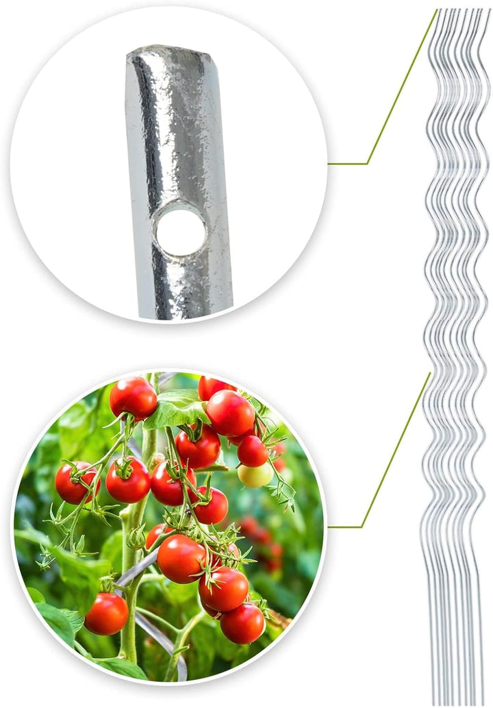 Floordirekt Tomatenspiralstäbe inkl. Zubehör Set - 180 cm Länge - 10 Stück - Tomatenstab - Spiralsta