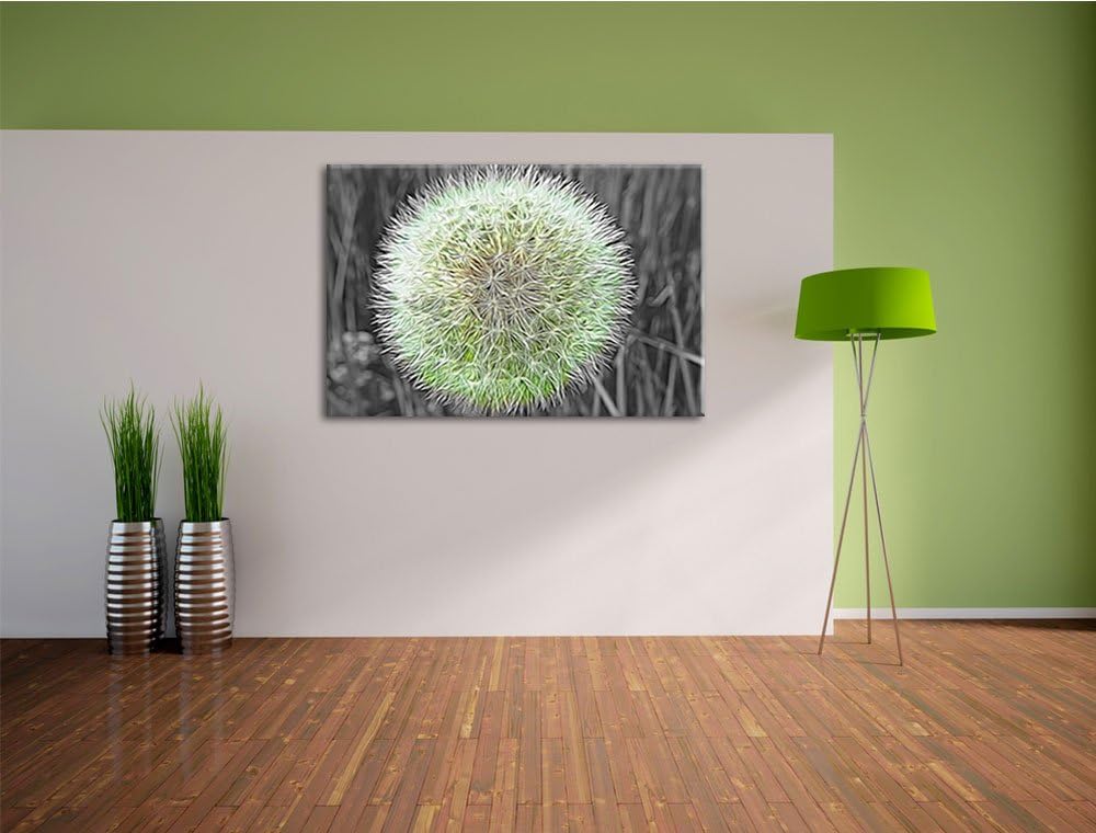 klassische zarte Pusteblume schwarz/weiss Deluxe Format: 100x70 cm auf Leinwand, XXL riesige Bilder