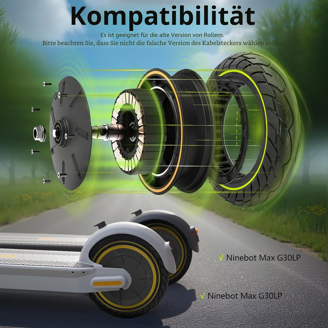 Zentralmotor 10 Zoll mit festem Reifen, Radsatz 500 W ohne Schlauch, entworfen für den Elektroroller