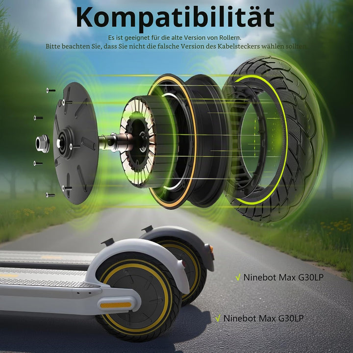 Zentralmotor 10 Zoll mit festem Reifen, Radsatz 500 W ohne Schlauch, entworfen für den Elektroroller