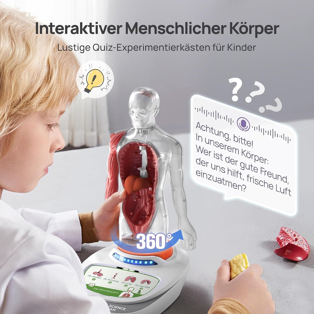 Science Can Anatomiemodell für Kinder, Menschliche Körper Set, Interaktive Spielzeug - Englisch, 22c