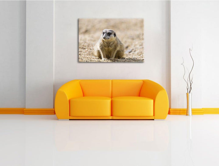 Pixxprint schüchternes Erdmännchen auf Leinwand, XXL riesige Bilder fertig gerahmt mit Keilrahmen, K