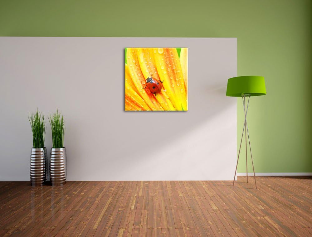 Pixxprint Marienkäfer auf gelber Blume / 70x70cm Leinwandbild bespannt auf Holzrahmen/Wandbild Kunst