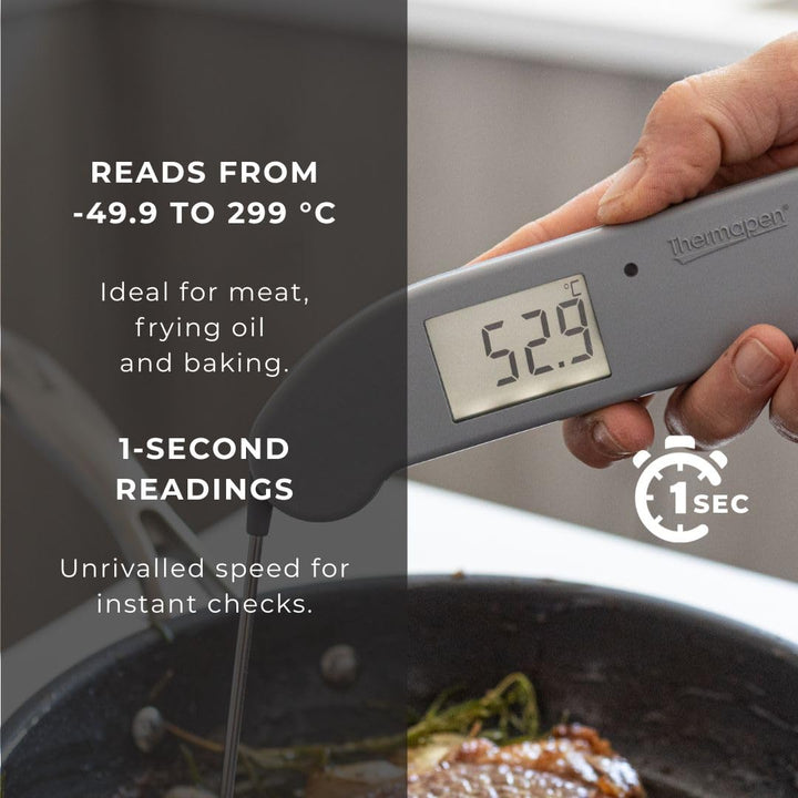 Thermapen One (Grau), grau