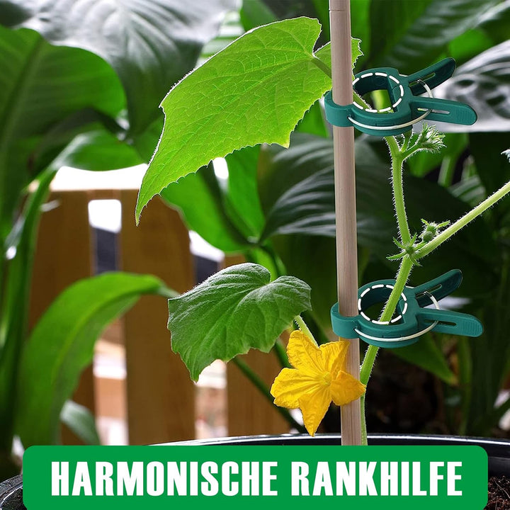 96 Stück Pflanzenclips für Tomaten, Gurken, Kletterrosen und andere Rankpflanzen, Stabile Hochwertig