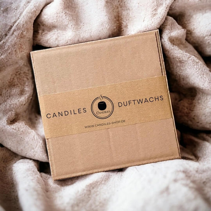 Duftwachs | Mehrere Monate Raumduft ohne Flamme - Handmade Duftkerzen, Duftschalen 100% Vegan, Natür