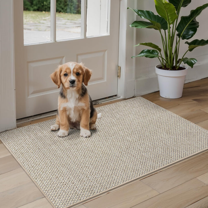 DEXI Schmutzfangmatte Innen 60 x 90 cm, rutschfest Fussmatte waschbar, absorbierend Fussmatte, Dünne