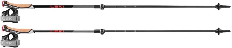 LEKI Instructor Lite Stöcke dark anthracite-silvergray, dark anthracite-silvergray