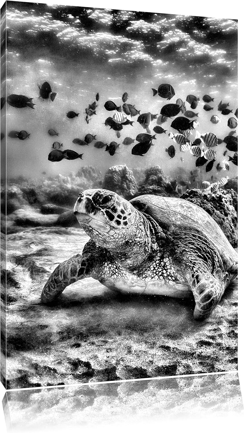 Monocrome, Ninja Turtles, Format: 100x70 auf Leinwand, XXL riesige Bilder fertig gerahmt mit Keilrah