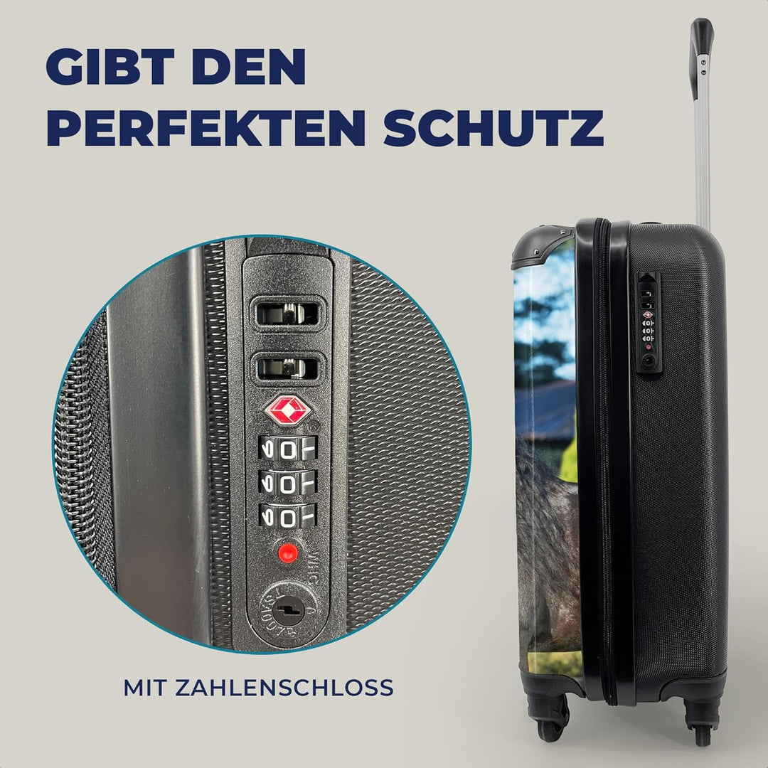 MuchoWow© Koffer Handgepäck Trolley Rollkoffer Kleine Reisekoffer mit 4 Rollen - Sonne - Friesisch -