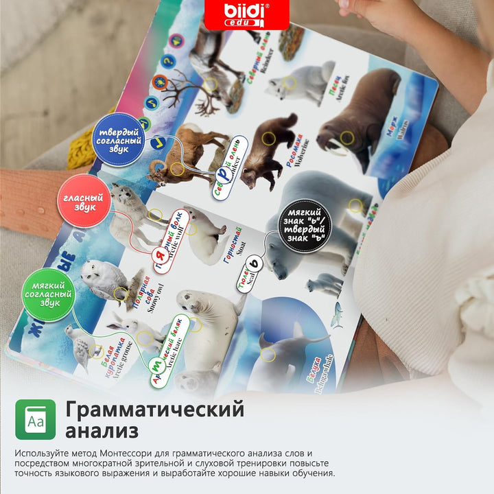 Soundbuch Englisch Russisch zweisprachig aufladbar Kinderspielzeug 3-6 Jahr | 40 Lieder 30 Geschicht