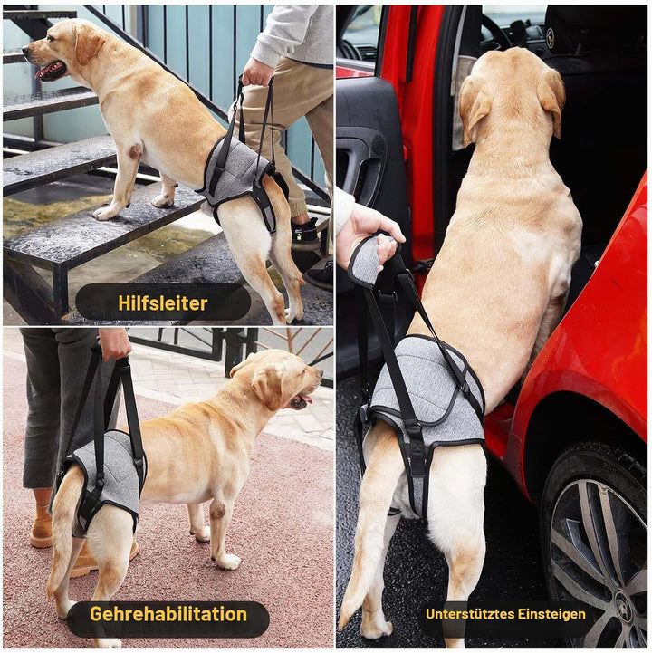 Tragehilfe Hund Gross, Tragehilfe Hund Hinterbein s, Dog Back Leg Support, Dog Carrying Aid, Verstel