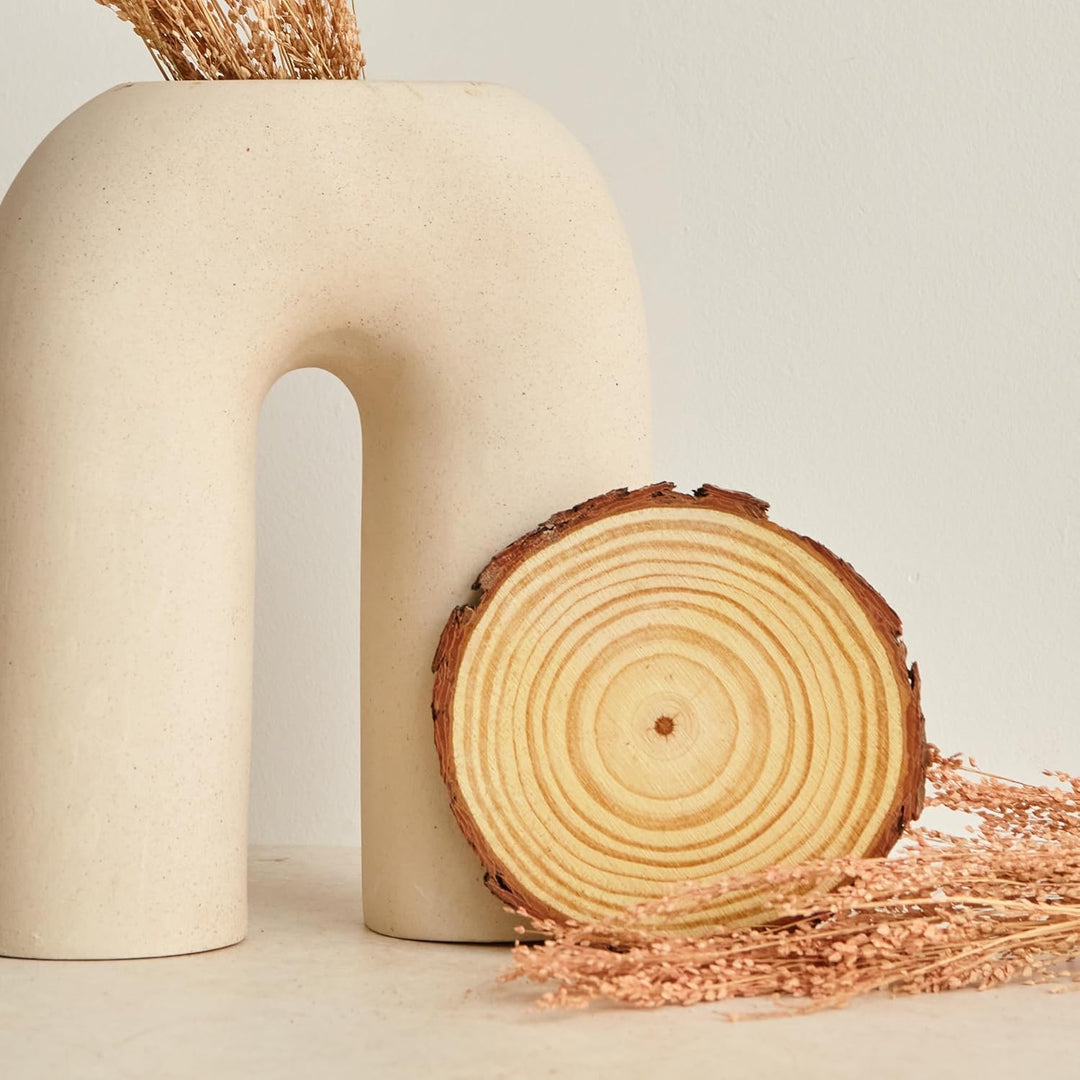 Elan Holzscheiben Wood Discs 14cm - 16cm Durchmesser 18 Stück, Baumstamm Scheiben, Baumscheiben Klei