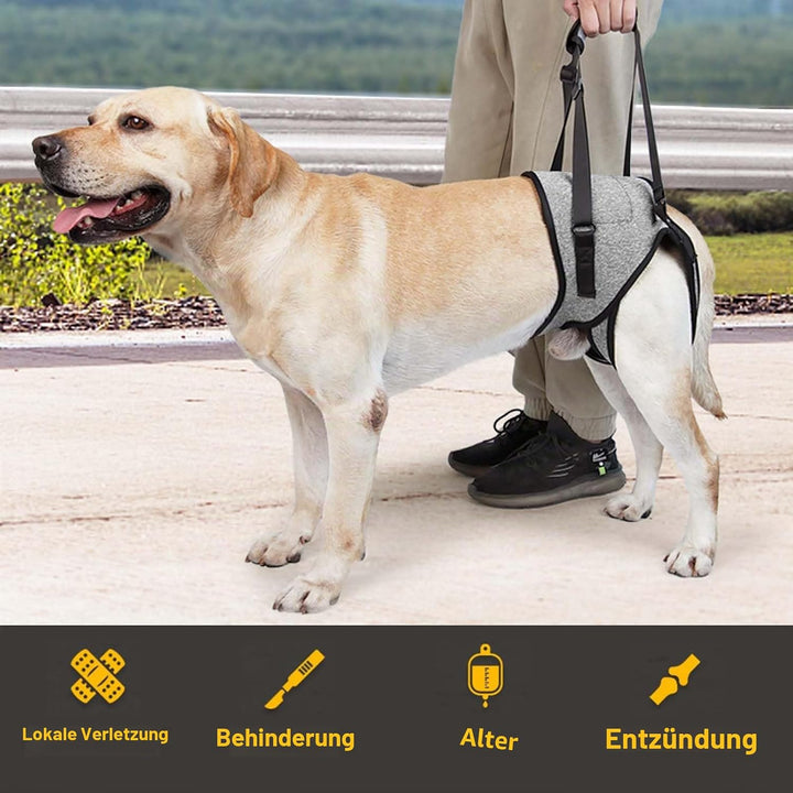 Tragehilfe Hund Gross, Tragehilfe Hund Hinterbein s, Dog Back Leg Support, Dog Carrying Aid, Verstel