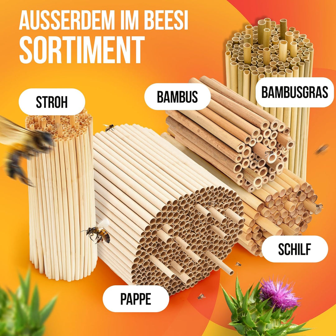 BEESI 500x Bambusgras für Insektenhotel I 14 cm Länge I 3-7mm ⌀ I Füllmaterial Bienenhotel, Wildbien