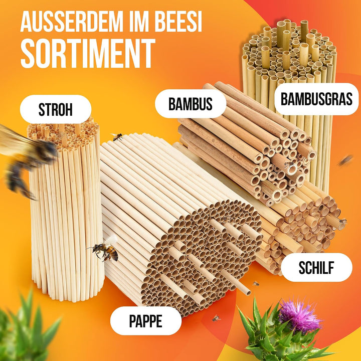Beesi Bambusröhrchen für Insektenhotel 100 Stück 10cm Länge I Insektenhaus für Wildbienen I Wildbien