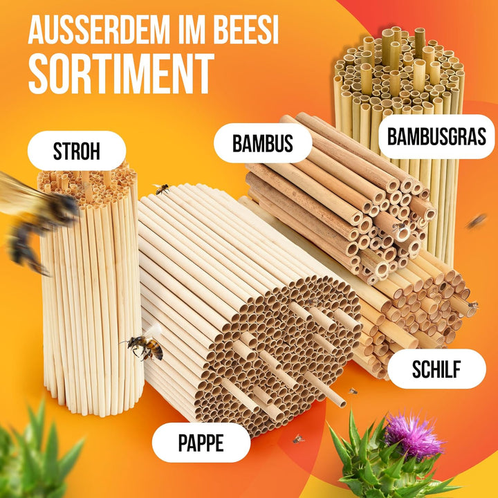 Beesi Bambusröhrchen für Insektenhotel 100 Stück 10cm Länge I Insektenhaus für Wildbienen I Wildbien