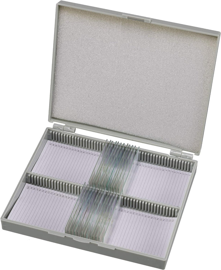 Bresser biologisches Durchlicht-Mikroskop, Erudit Basic Bino 40x-400x, Grob- und Feinfokussierung &