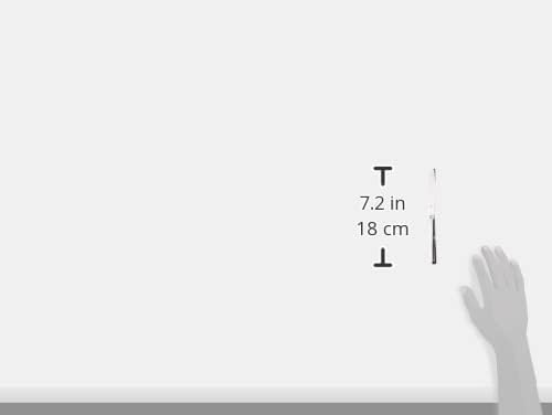 1120666049 OBSTMESSER BOSTON