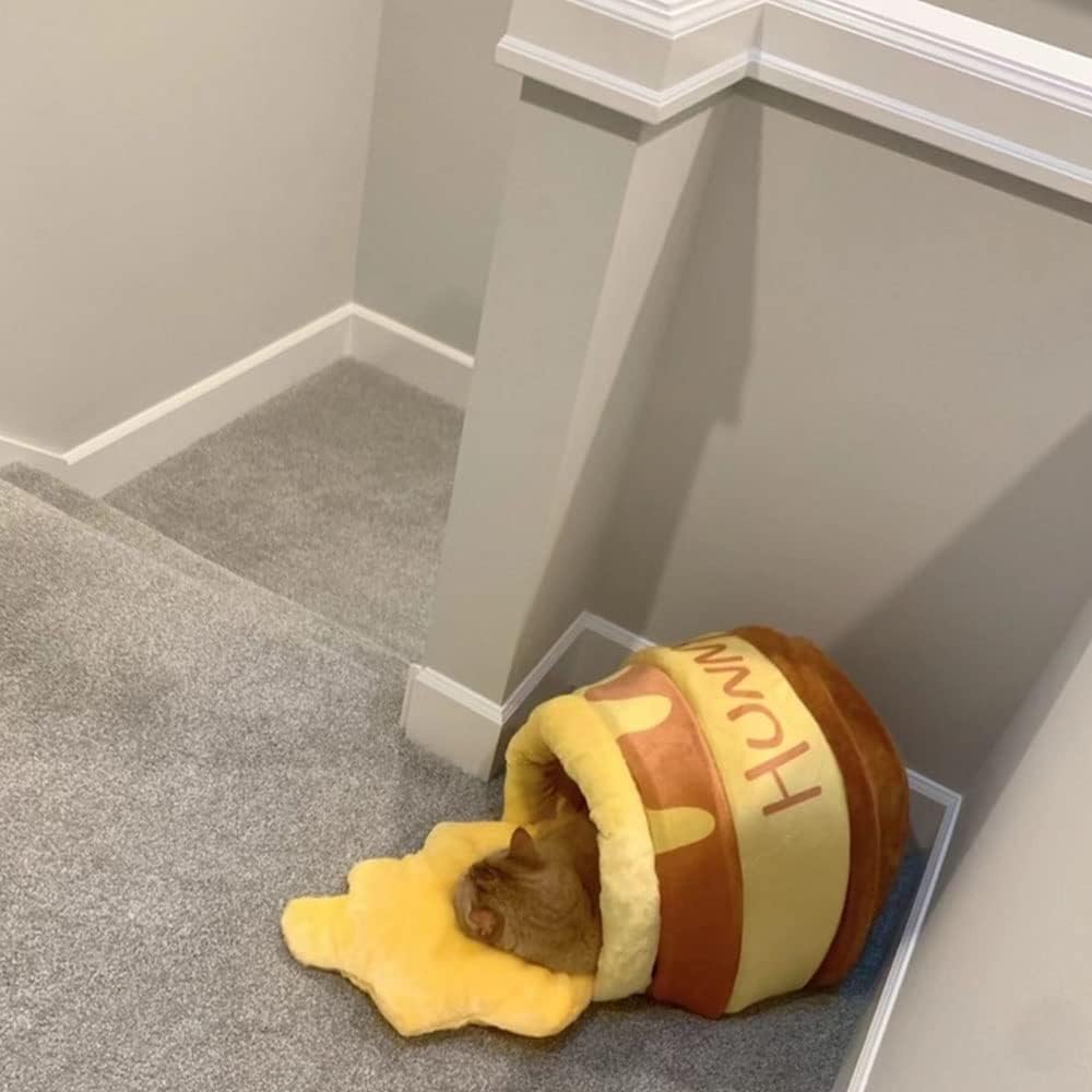 Katzenbett, katzenhöhle, kuschelbett Katzen, Katzen kuschelbett, Katzennest Honigtopf, für kleine Ka