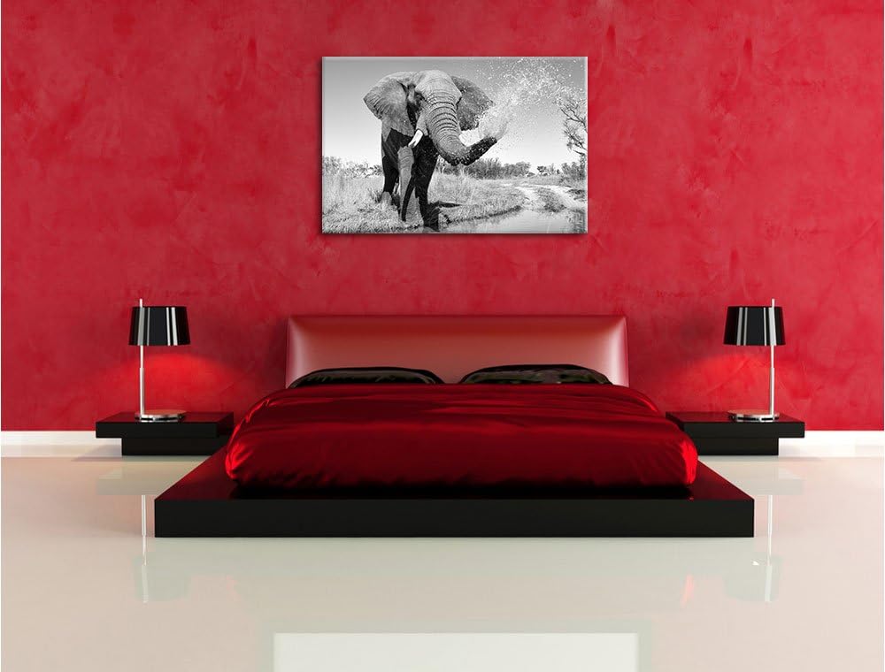 Pixxprint schöner Elefant spritzt mit Wasser Kunst B&W, Format: 100x70 auf Leinwand, XXL riesige Bil