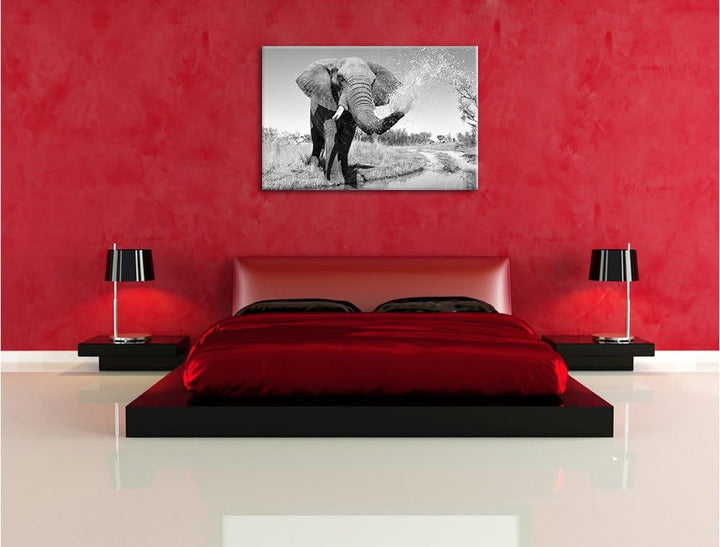 Pixxprint schöner Elefant spritzt mit Wasser Kunst B&W, Format: 100x70 auf Leinwand, XXL riesige Bil