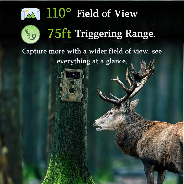 2tlg. Wildkamera Fotofalle Beute Kamera JagdKamera, 32MP HD Video, 36pcs IR LED No-Glow Nachtsicht W