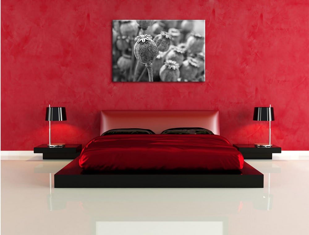 Pixxprint Mohnkapsel der Mohnblume Kunst B&W als Leinwandbild/Grösse: 100x70 / Wandbild/Kunstdruck/f