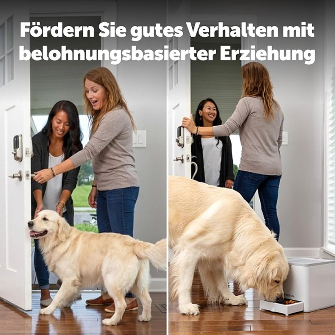 PetSafe Teach & Treat Ferngesteuerter Belohnungstrainer für Hunde, Training und positive Verstärkung