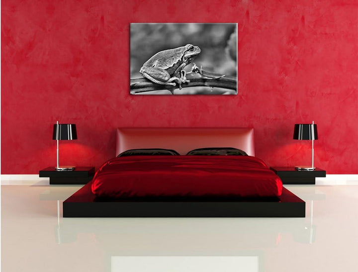 Pixxprint Kleiner Frosch auf Dornenast / 100x70cm Leinwandbild bespannt auf Holzrahmen/Wandbild Kuns