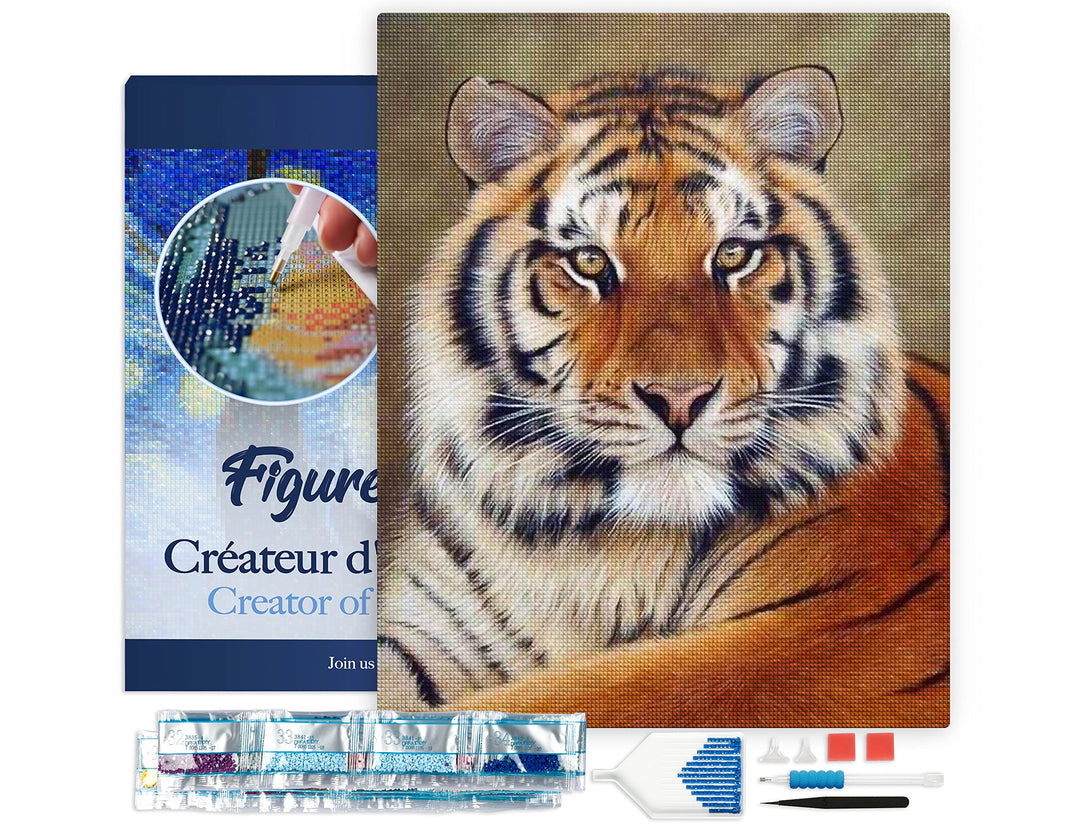 Figured'Art Diamond Painting Erwachsene 40x50cm Mit Rahmen Ganze Leinwand gespannt Tigerauge 5D Bild