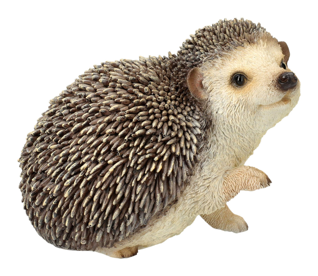 Gartenfigur Igel hebt rechte Pfote – Lebensechte Igelfigur von HotAnt, 13 cm Breite, wetterfest & ha
