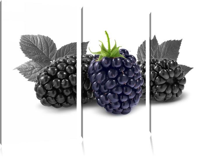 Grosse Brombeeren schwarz/weiss 3-Teiler Leinwandbild 120x80 Bild auf Leinwand, XXL riesige Bilder f