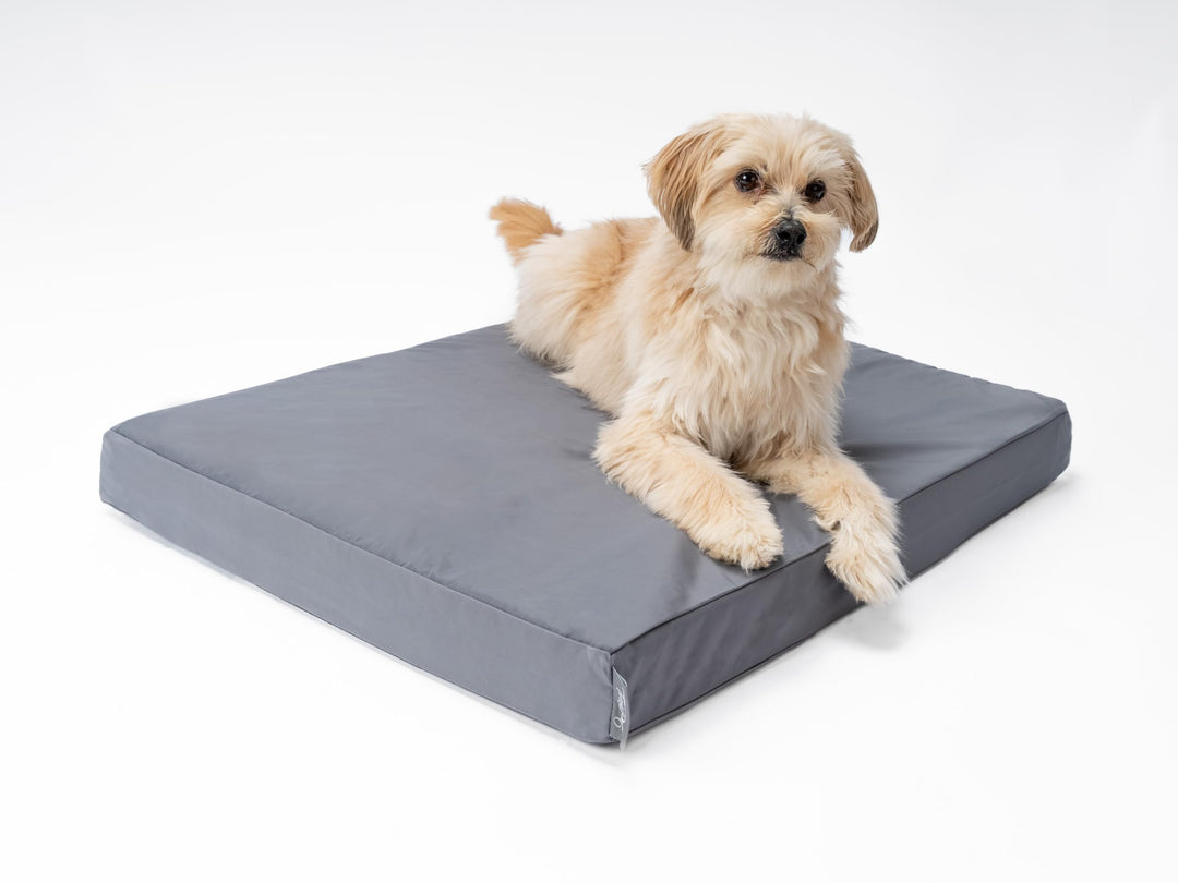 TrendPet VitaMedog Wet - Wasserabweisende orthopädische Matratze für Hunde, Hundematte in 6 Grössen