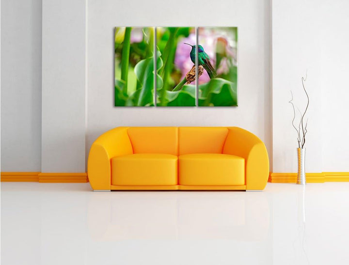 Pixxprint Kolibri in seinem Lebensraum als Leinwandbild/Grösse: 3 Teilig (120x80) / Wandbild/Kunstdr