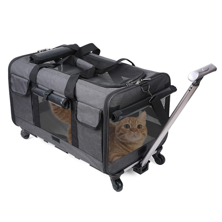 PETCUTE Transporttasche für Katze mit Rollen,Atmungsaktiv Katzen Transporttasche für 2 Katzen,Faltba