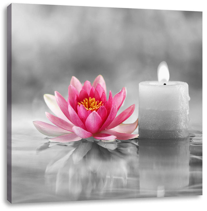 Pixxprint Seerose neben Kerze als Leinwandbild/Grösse: 70x70 cm/Wandbild/Kunstdruck/fertig bespannt,